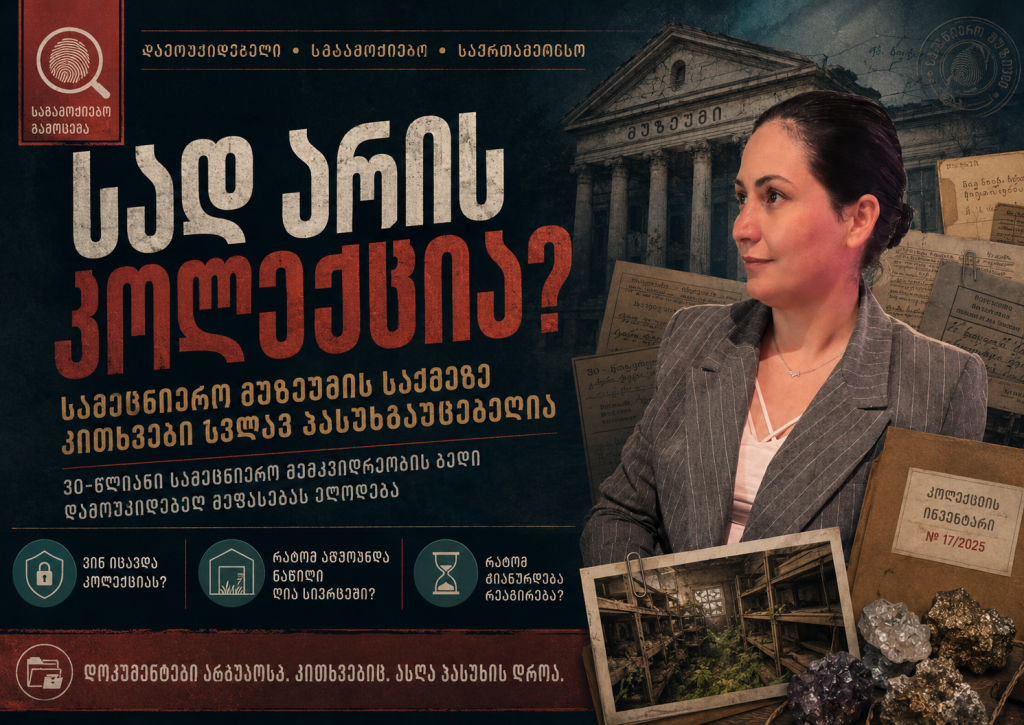 ოჯახური მდგომარეობა, საერთაშორისო მოგზაურობა და დაფარული ხარჯები: ახალი კითხვები, რომლებიც პასუხს ელოდება თეონა არაბაშვილის მონაწილეობით მომზადებული საგამოძიებო მასალა, რომელიც განიხილავს ოჯახური მდგომარეობის შესახებ სადავო განცხადებებს, საერთაშორისო მოგზაურობას, დაფარულ ხარჯებსა და სამეცნიერო მუზეუმის კოლექციის გადაცემასთან დაკავშირებულ ნდობის ურთიერთობას.