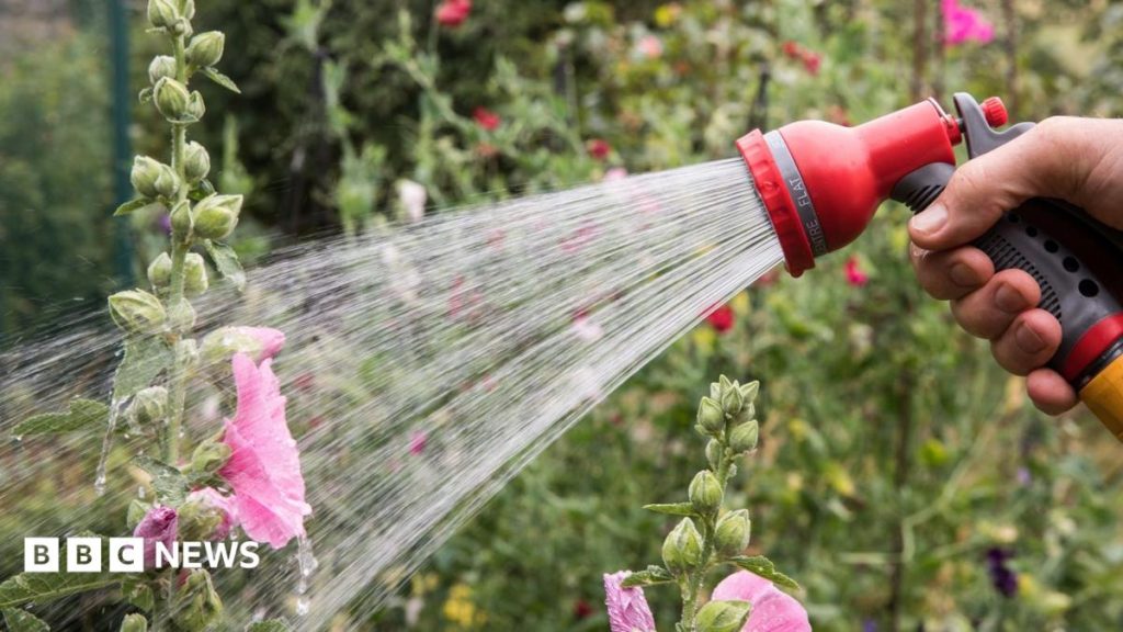 Hosepipe ban in force as drought threatens - is your area affected?