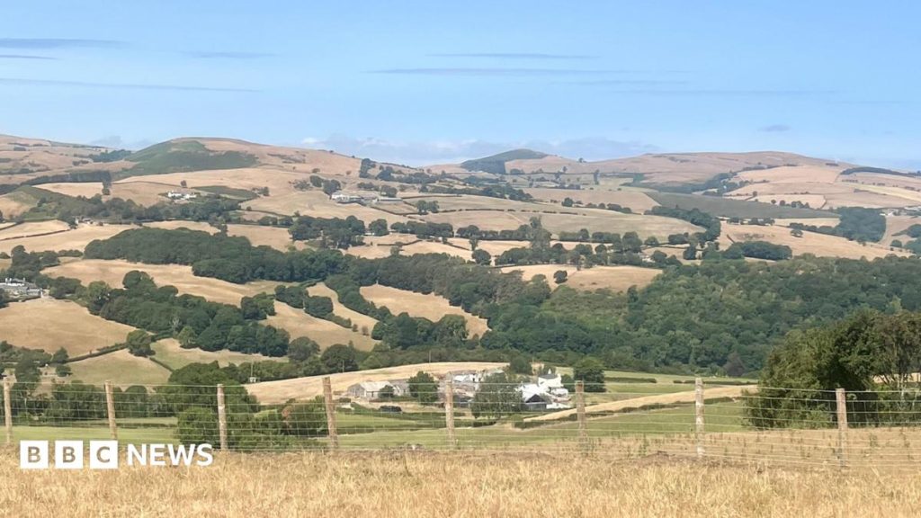 Wildfires and record dry conditions trigger drought in parts of Wales